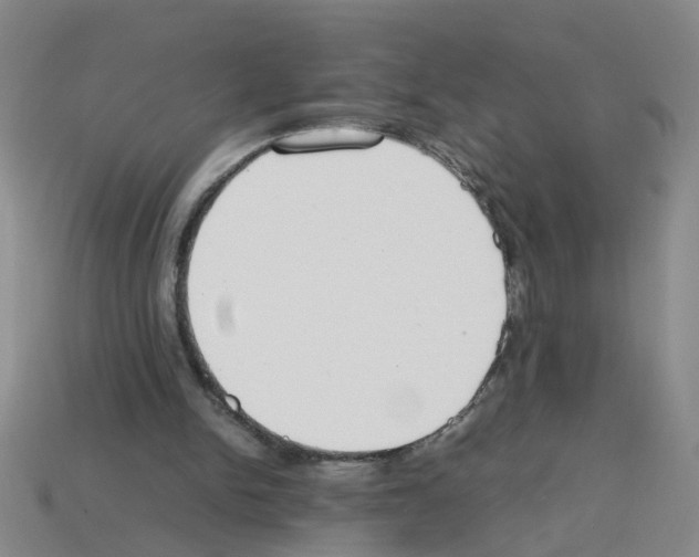 X0000112810150200910021148