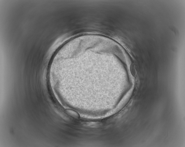 X0000112810151200910021148