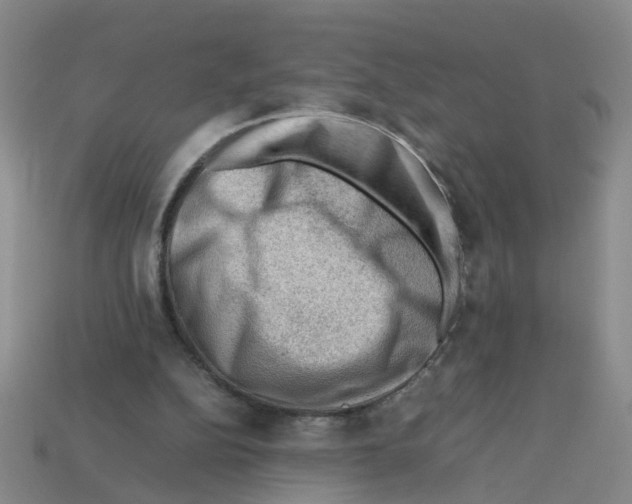 X0000112810152200910021148