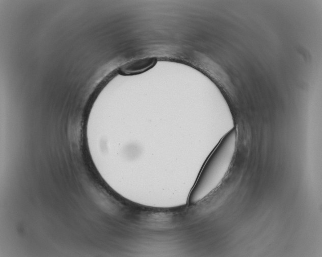 X0000112810156200910021148