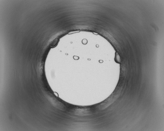 X0000112810160200910021148
