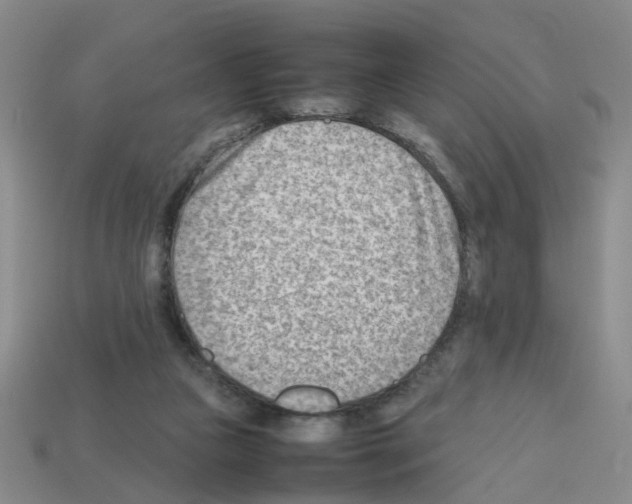 X0000112810161200910021148