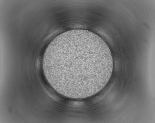 X0000112810165200910021148