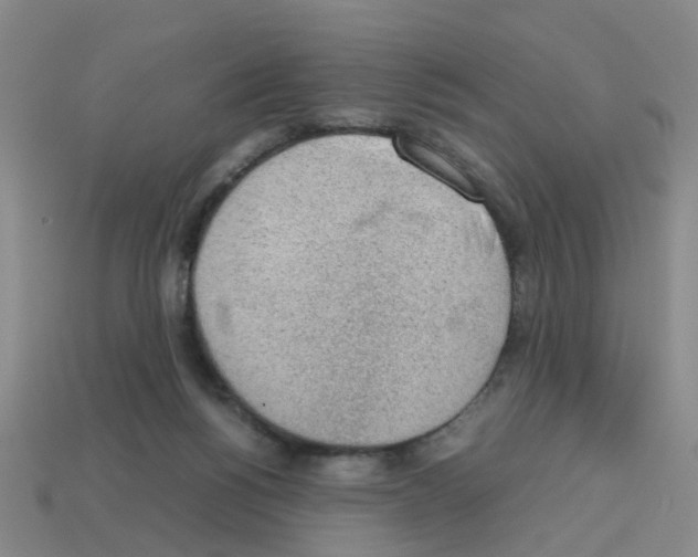 X0000112810168200910021148