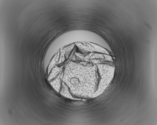 X0000112810172200910021148
