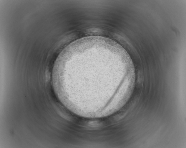 X0000112810173200910021148