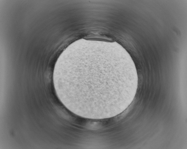X0000112810174200910021148