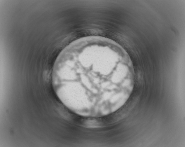 X0000112810177200910021148