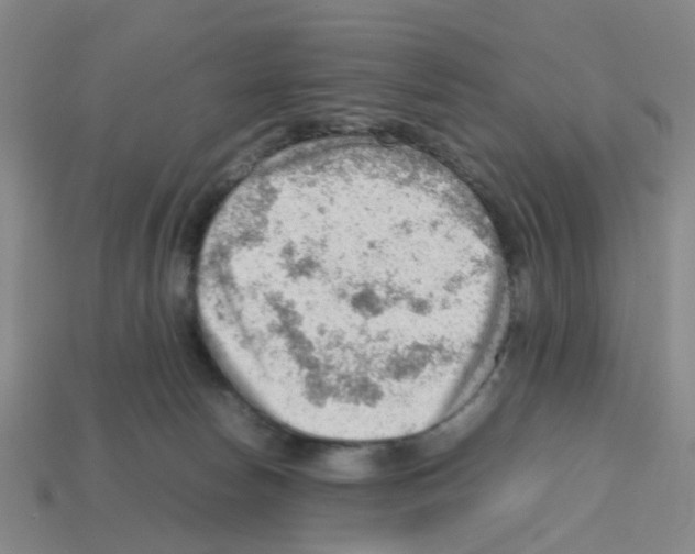 X0000112810178200910021148