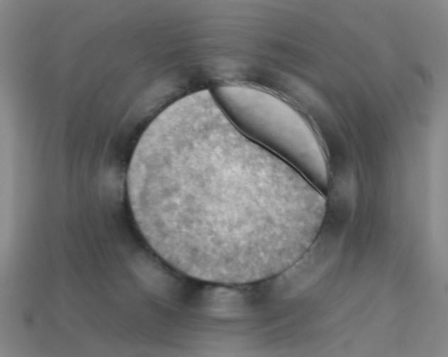 X0000112810180200910021148