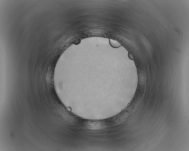X0000112810181200910021148