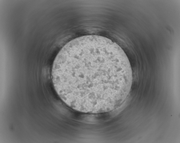 X0000112810182200910021148