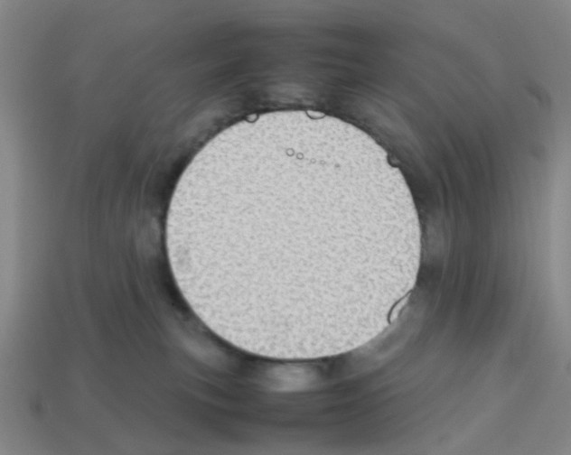 X0000112810183200910021148