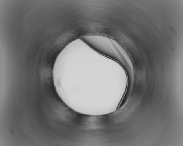 X0000112810184200910021148