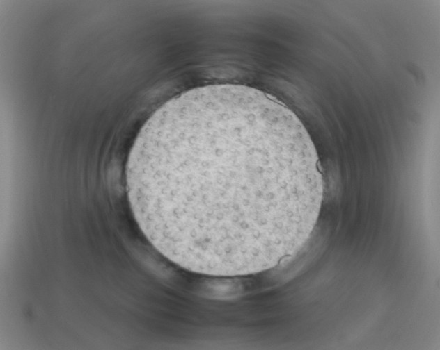X0000112810187200910021148