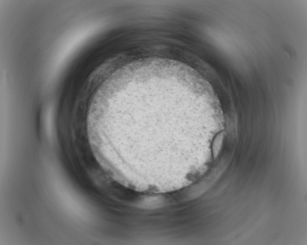 X0000112810189200910021149
