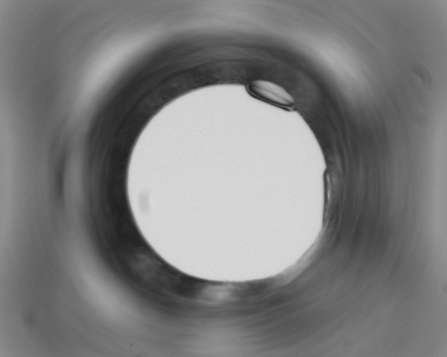 X0000112810190200910021149