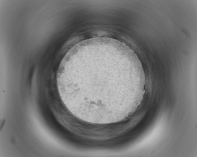 X0000112810191200910021149