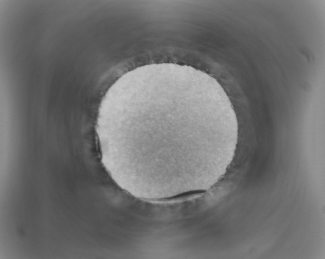 X0000112810192200910021149