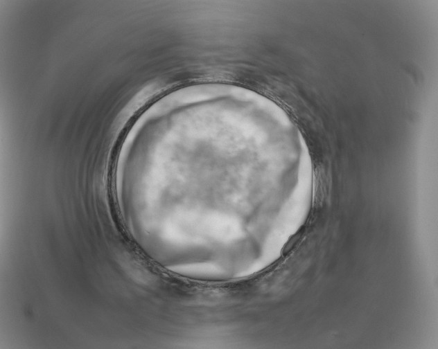 X0000112810195200910021148