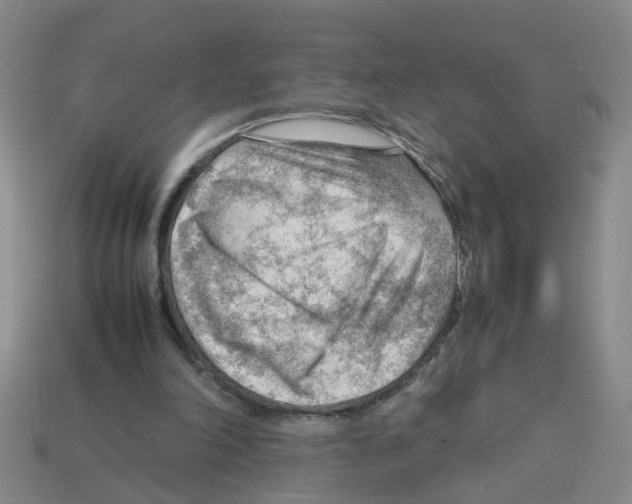 X0000112810198200910021148