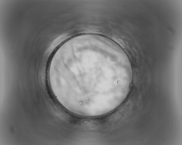 X0000112810199200910021148