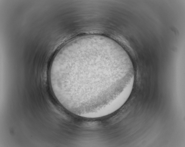 X0000112810202200910021148