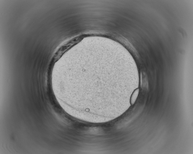 X0000112810204200910021148