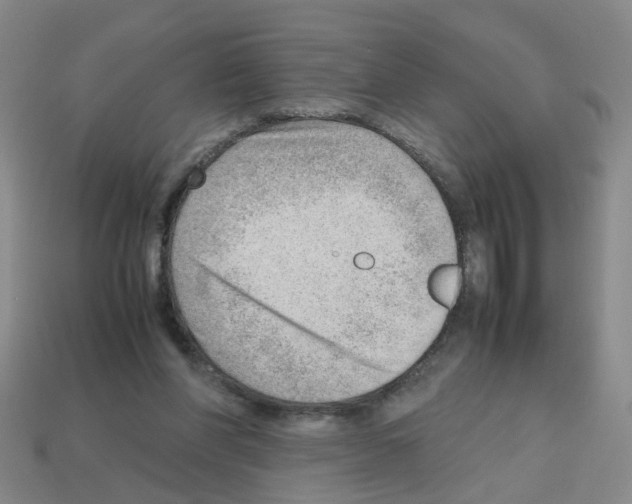 X0000112810206200910021148