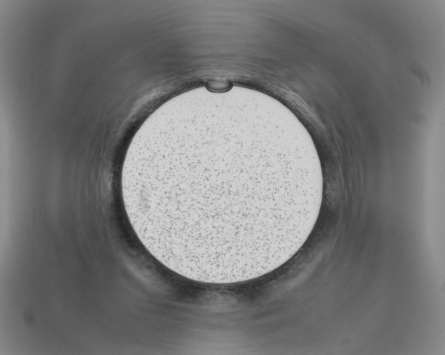 X0000112810207200910021148