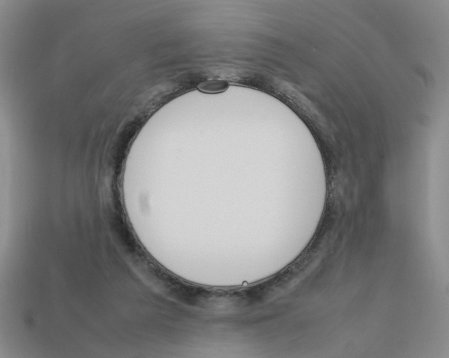 X0000112810209200910021148