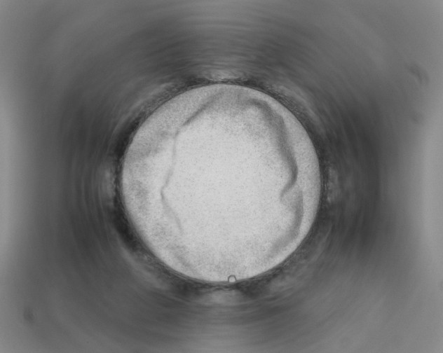 X0000112810210200910021148
