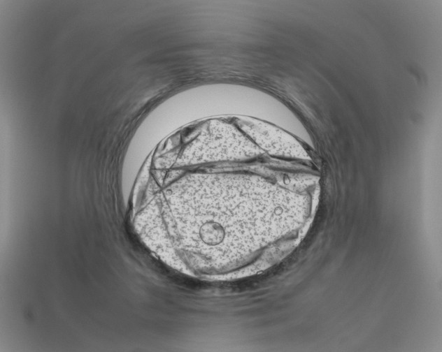X0000112810211200910021148