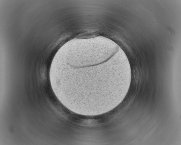 X0000112810212200910021148