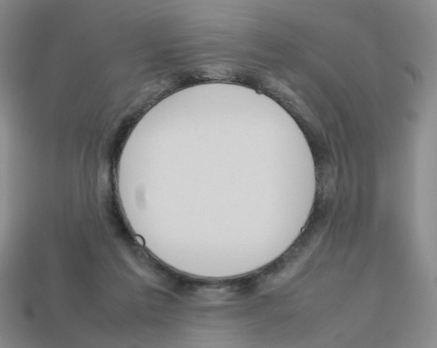 X0000112810213200910021148