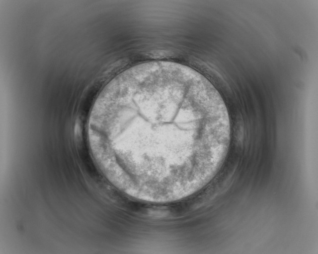 X0000112810214200910021147