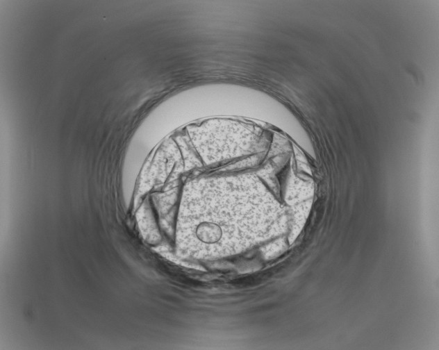 X0000112810215200910021147