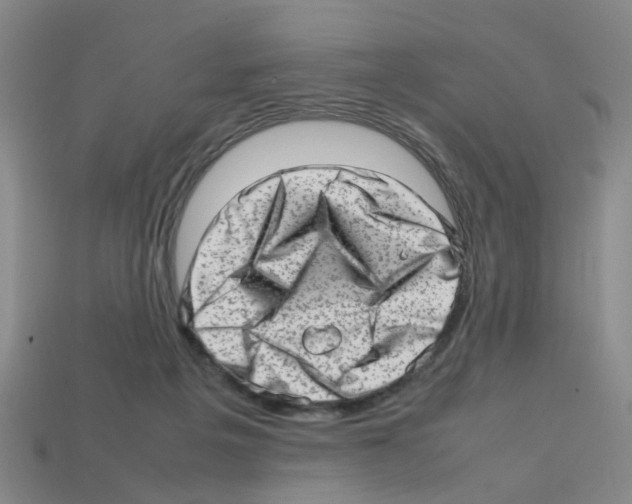 X0000112810217200910021147