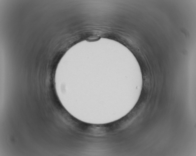 X0000112810221200910021147