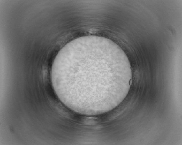 X0000112810222200910021147
