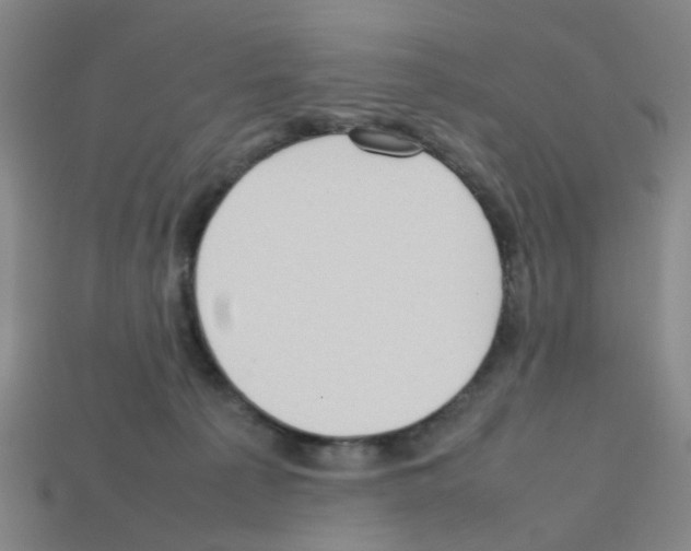 X0000112810225200910021147
