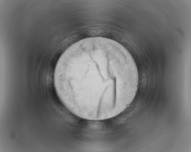 X0000112810226200910021147