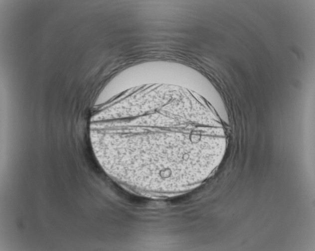 X0000112810227200910021147