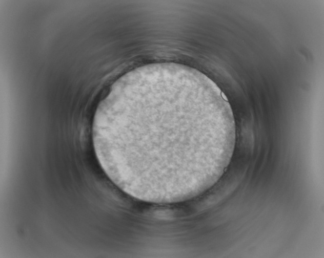 X0000112810228200910021147