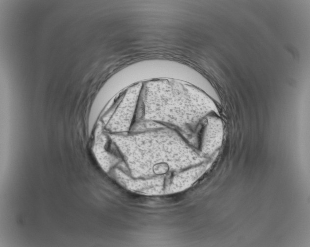 X0000112810229200910021147