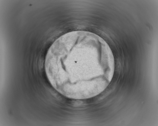 X0000112810230200910021147