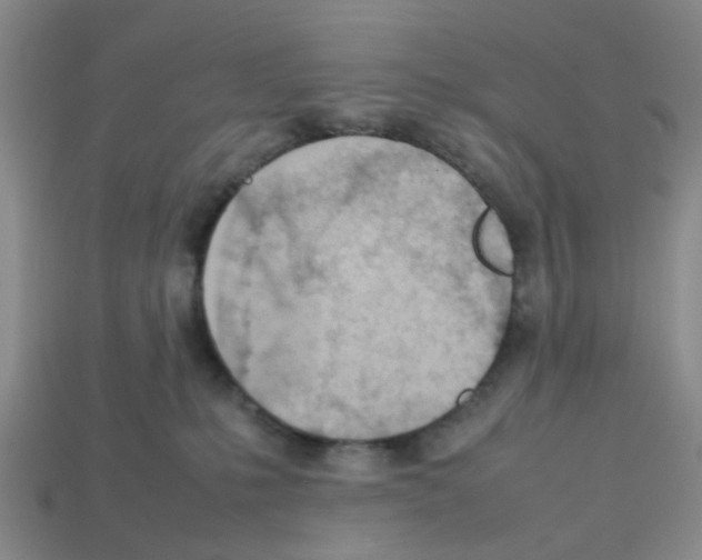 X0000112810231200910021147