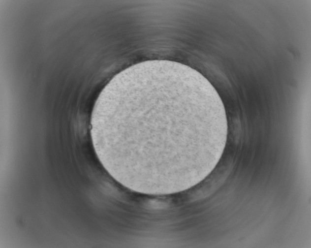 X0000112810232200910021147
