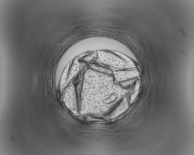 X0000112810233200910021147