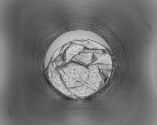 X0000112810235200910021147